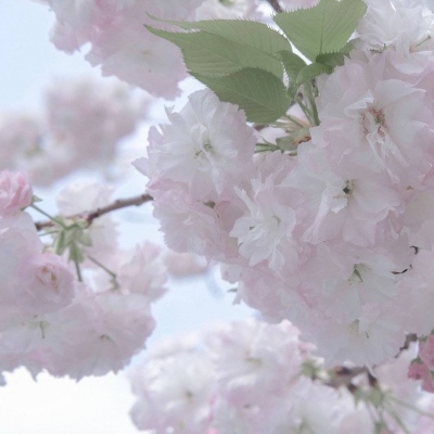 兽设节日场景创作FurryQQ群