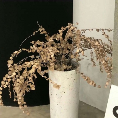 Furry二次元壁纸分享福瑞交流群